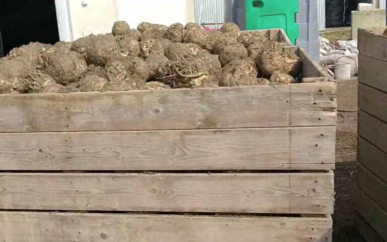 Rolniku ile dostaniesz za taki towar?