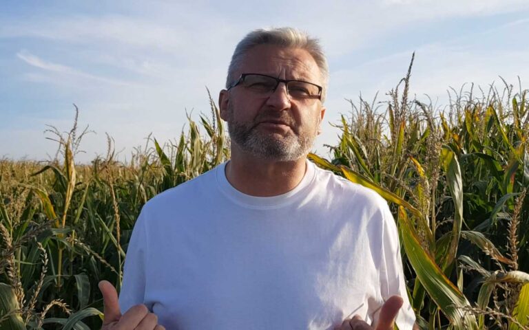 Kukurydza i rzepak – jak odzyskać azot z resztek pożniwnych