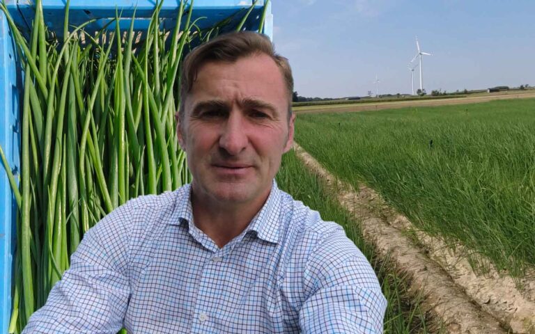 Porównanie różnych odmian cebul szczypiorowych – Adam Piotrowski