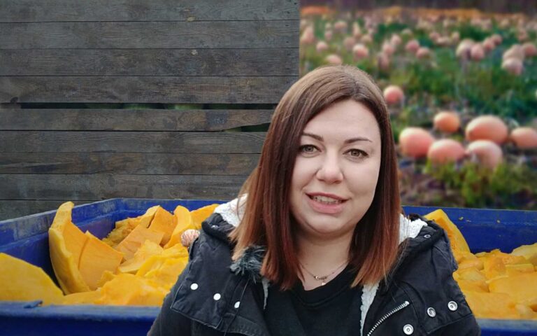 Zbiór dyni dobiega końca