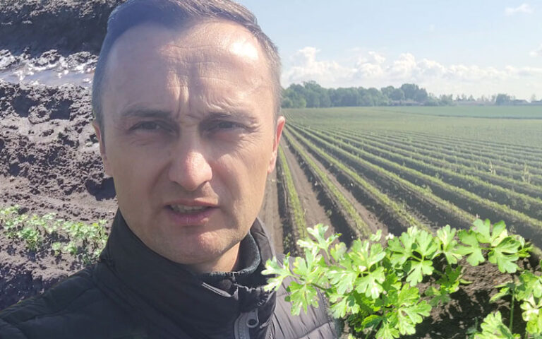 Raz susza, Raz intensywne opady – tak to bywa na polu pietruszki