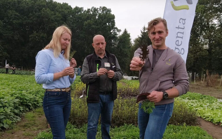 Kolekcja sałat baby leaf na targach AgroPomerania 2021