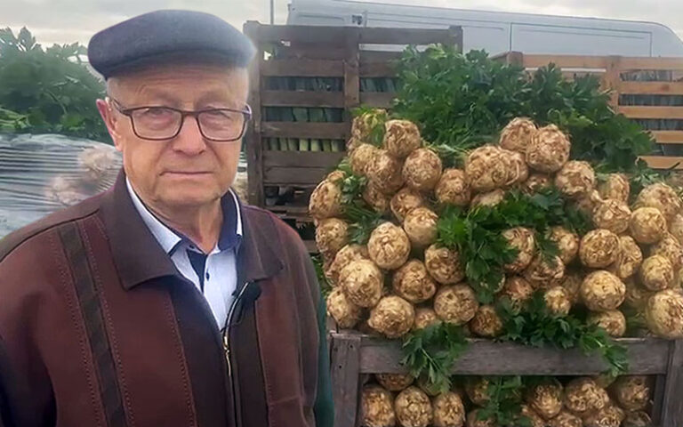 Dużo sprzedających i kupujących na giełdzie Bronisze