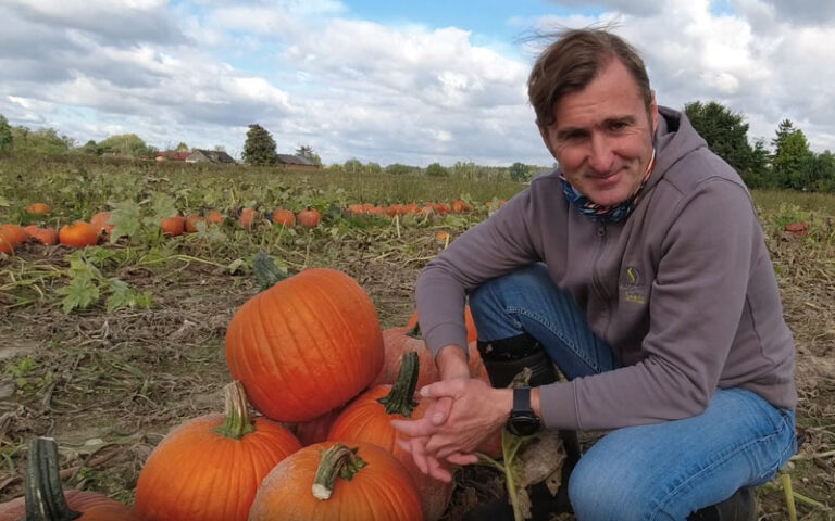 Naprawdę duża dynia Halloween
