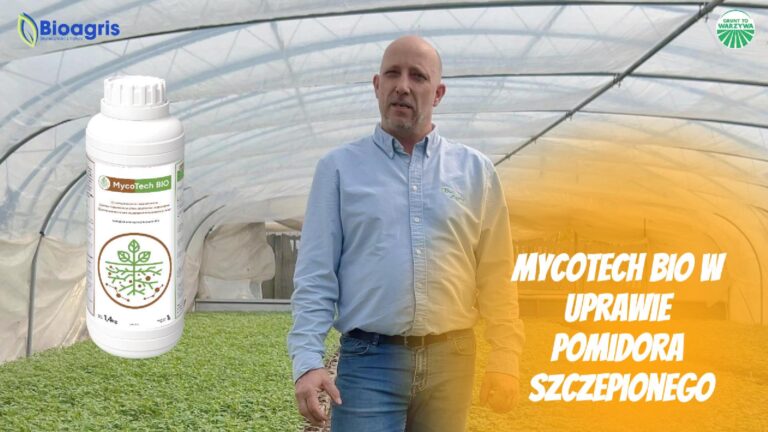 Michał rozsada pomidora MycoTech(3)-Cover